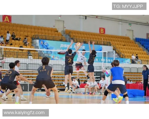 2026排球配合排行榜：杭州排球队位居第9名